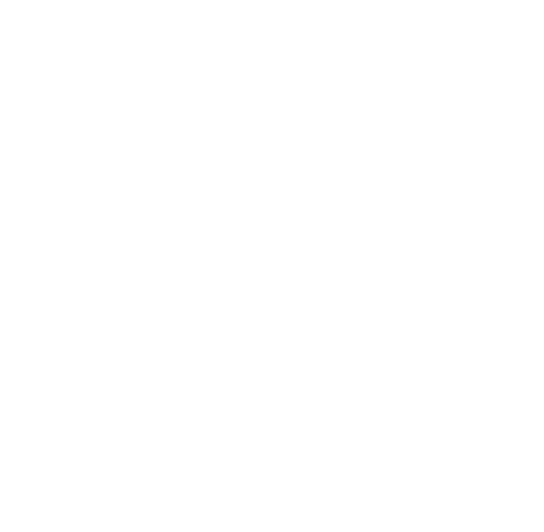 bersini